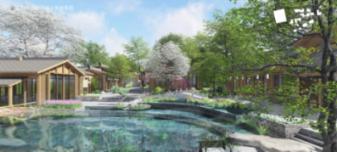2023 年春节是选择就地过年还是回老家呢?